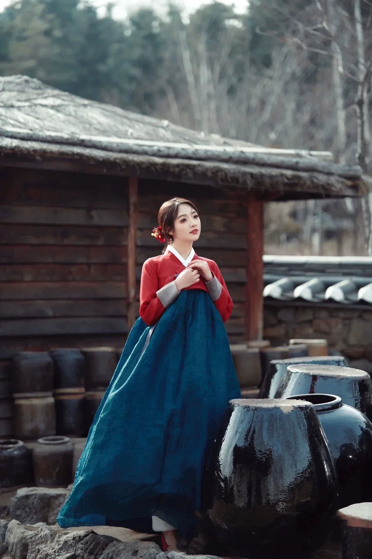 Red Blue Hanbok | Korean Court Dress | Traditional Wedding Performance Outfit - Image 8